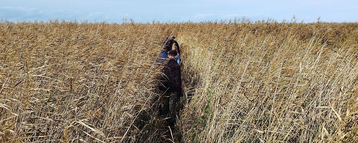 Studienstarter*innen Geographie