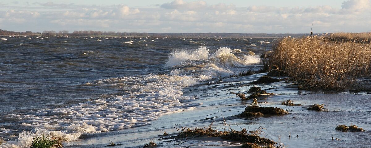 Liebe Abiturient*innen!